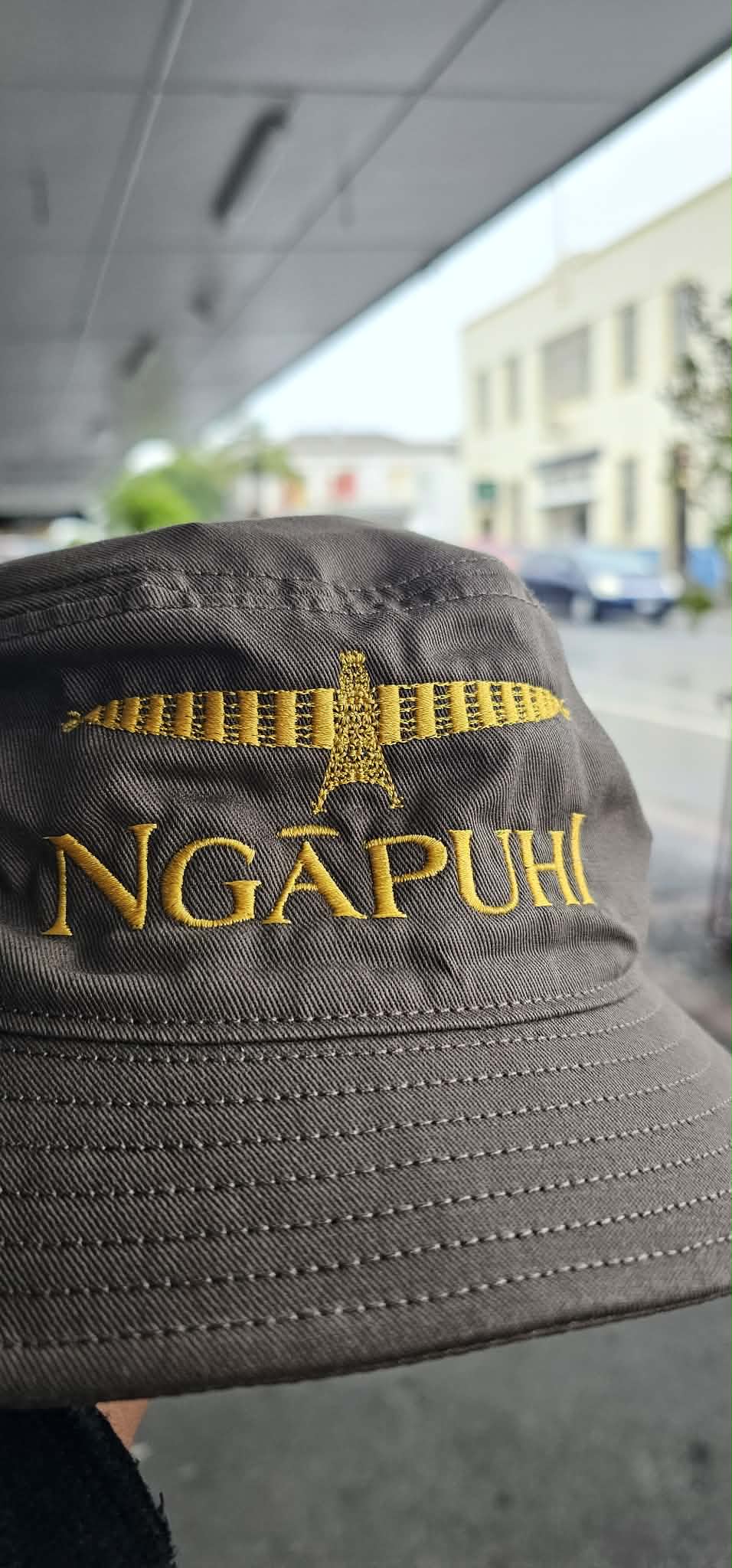 Hats - Pōtae
